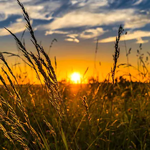 Lumière du soleil